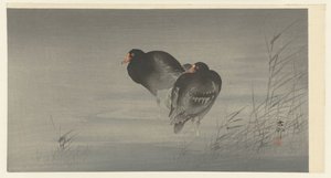2 つのムーア人 作： Ohara Koson