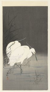 葦の 2 つの白鷺 作： Ohara Koson