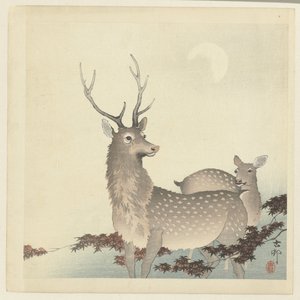 二匹の鹿 作： Ohara Koson