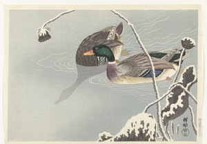 雪に覆われた蓮の近くの 2 つのマガモ 作： Ohara Koson