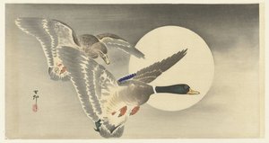 満月と2羽のカモ 作： Ohara Koson