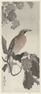 木の枝にフレミッシュ ジェイ 作： Ohara Koson
