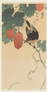 鳥と柿