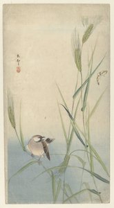 鳥と蝶 作： Ohara Koson