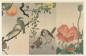 鳥と植物 作： Ohara Koson
