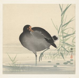ウォーターホーエン 作： Ohara Koson