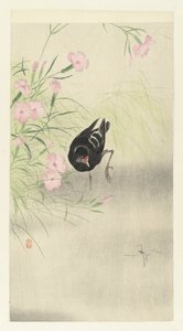 開花植物でムーア 作： Ohara Koson