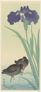 Moorhens とアイリス。 作： Ohara Koson