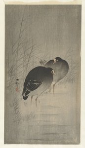葦の間のムーヘン 作： Ohara Koson