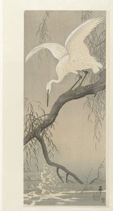 木の枝に白いサギ 作： Ohara Koson