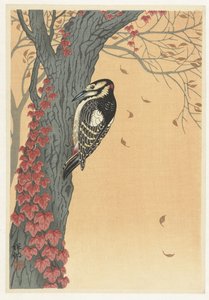 赤いツタが生い茂る木の上のキツツキ 作： Ohara Koson