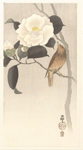 鳴き鳥と咲く椿 作： Ohara Koson