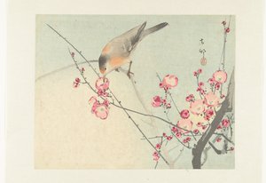 花の枝の鳴き鳥 作： Ohara Koson