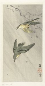 雨の鳴き鳥