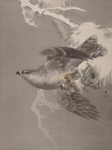 小鳥を抱く鷹、約。 1891-92。