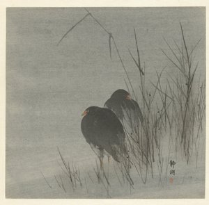 葦の間の 2 つのオオバン 作： Okuhara Seiko