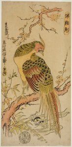 金雉（金鶏町） 作： Okumura Masanobu