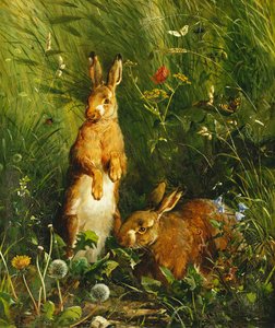 うさぎ、1878 作： Olaf August Hermansen