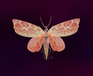  作： Olga Skomorokhova