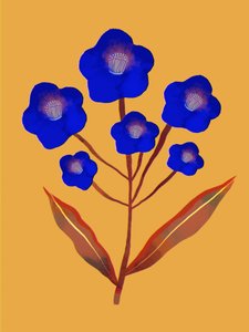 鮮やかな青い花 作： 