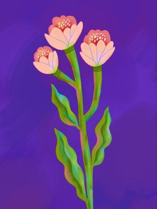 鮮やかな花のトリオ 作： 
