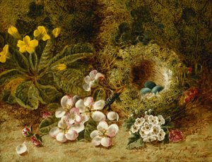 苔の花の銀行のプリムローズと鳥の巣、アップルブロッサム