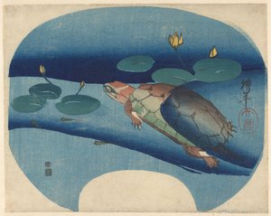 睡蓮の間を泳ぐカメの扇形プリント 作： Onishi Chinnen