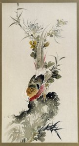 キジ 水彩 大西惠斎家 作： Onishi Keisai