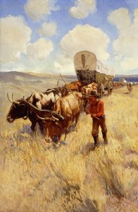 Vagão de trem 作： Oscar Edward Berninghaus