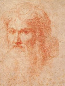 長いあごひげを生やした男の頭 作： Ottavio Vannini