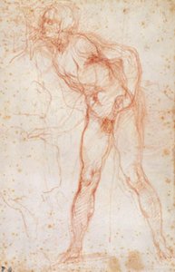 左を向いた男性ヌードの習作