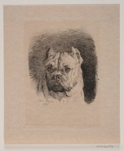 犬の頭 作： Otto Bache