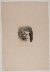 犬の頭 作： Otto Bache