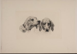 2 つの犬の頭 作： Otto Bache