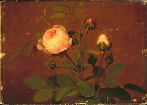 バラ、バラ 作： Otto Didrik Ottesen