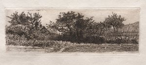 屋根と木、1879年。 作： Otto H. Bacher