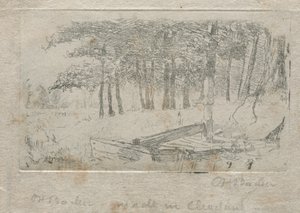 自然からのスケッチ 作： Otto H. Bacher