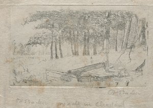 自然からのスケッチ、1879年。 作： Otto H. Bacher