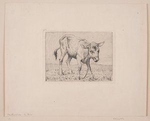 ふくらはぎ 作： Otto Haslund