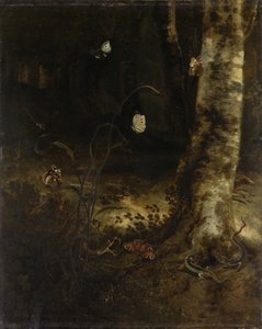 ヘビ、トカゲ、蝶、その他の昆虫がいる林床 作： Otto Marseus  van Schrieck