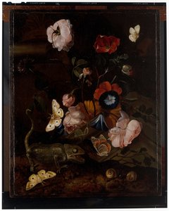 森の静物 作： Otto Marseus  van Schrieck