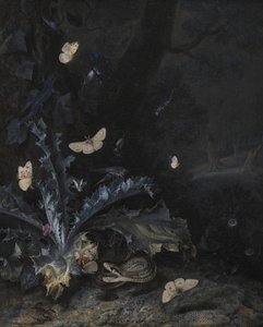 アザミと蛇のある静物 作： Otto Marseus  van Schrieck