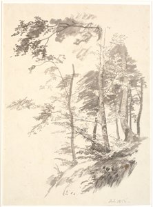斜面のブナ並木 作： P.C. Skovgaard