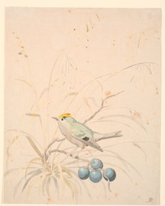 バラの枝にとまる王鳥。 作： P.C. Skovgaard