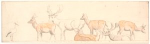 乱暴な鹿とコウノトリ 作： P.C. Skovgaard