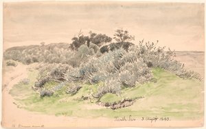 スクラブのある風景。 作： P.C. Skovgaard