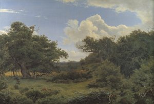 イェーガースプリス、ジーランドの近くの Nordskoven の樫の木 作： P.C. Skovgaard