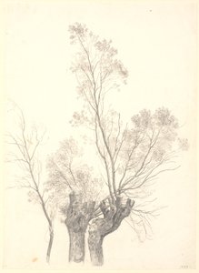 発育不良の柳の研究。 作： P.C. Skovgaard
