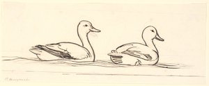 2 羽のアヒル。 装飾案。 作： P.C. Skovgaard
