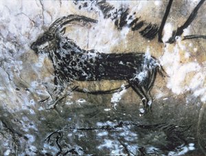 ヤギまたはシャモア、黒い部屋の岩絵、マグダレニアン (洞窟壁画)